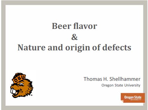 Beer Flavor & Nature and Origin of Defects